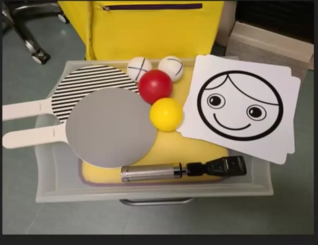 the NAVEG kit includes paddles with black and white stripes, red, yellow, and white balls, images of faces, and a scope to look closer at the eye.
